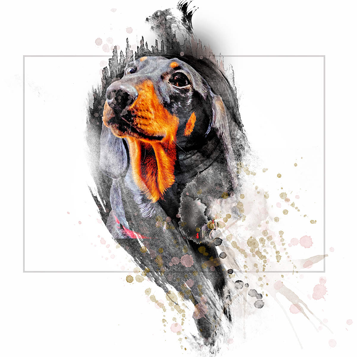 creative-dog-photography creative-dog-photography-solihull